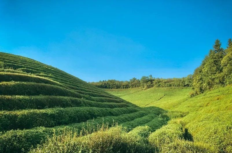 清水谷|安吉这个坐拥山野世外之地的民宿，泳池、茶园丨尧珈·清水谷民宿