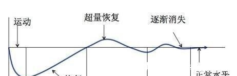 健身|健身完身上酸好几天，但就是不长肌肉怎么办？这几点才是最重要的