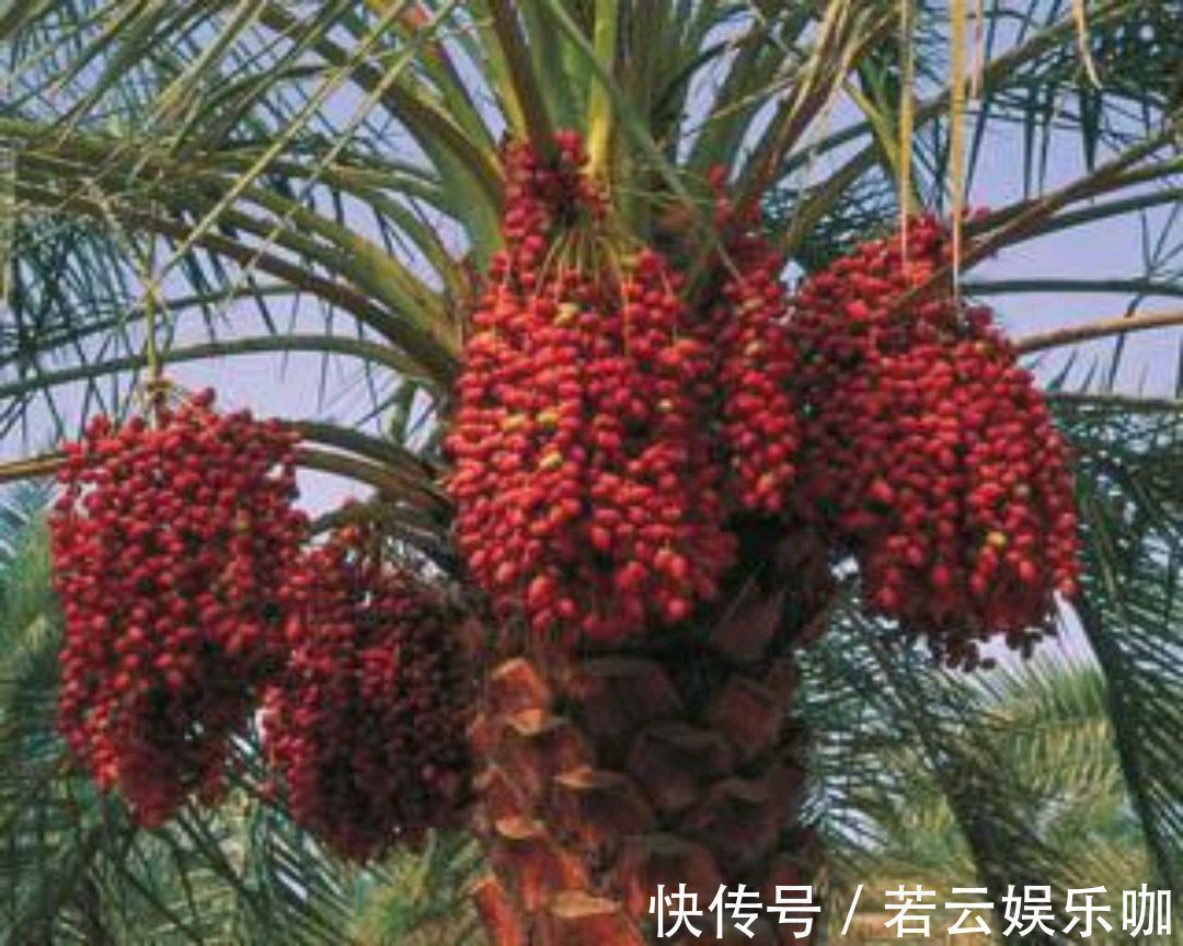 番茄红素|男人夏天逛超市时,碰到5样食物,可以多买点,好吃还营养