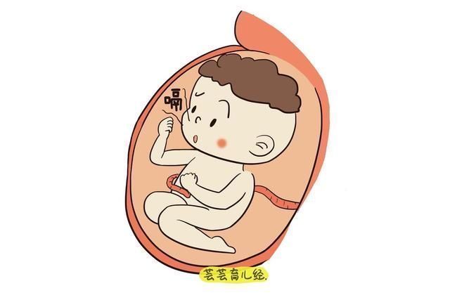 胎儿|宝妈睡觉翻身时,胎儿在子宫里干嘛?你可能猜不到