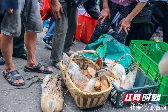 集市|蓝山：端午集市人气旺