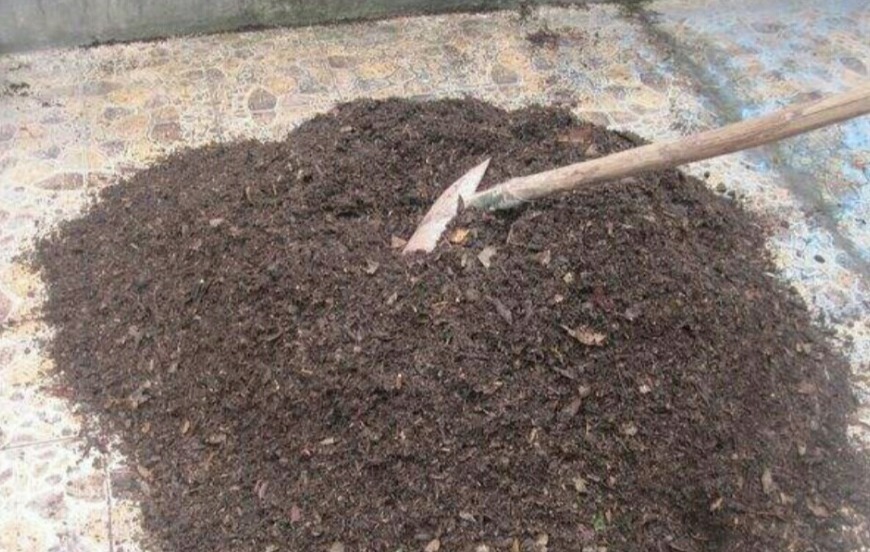 果皮|这种土是万能肥，养啥花都用得上，还不用操心烧根