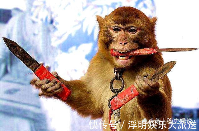 差役们$明代审猴奇案男子被杀,猴子鸣冤告状,知府布下妙计,擒住凶手