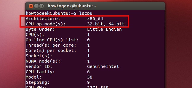 您应该使用32位还是64位UbuntuLinux？