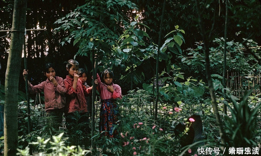 老照片：外国人拍摄的1981年的四川峨眉山，好想回去那个年代