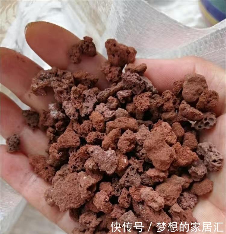 多肉|养多肉的“通用配土”，不要乱花钱了，买这2样土，养多肉足够