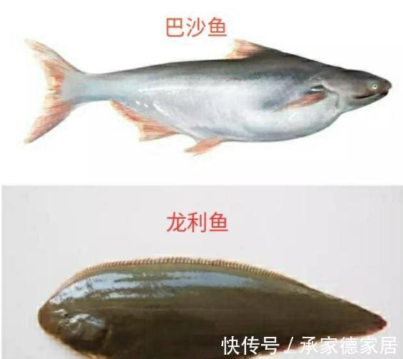 带鱼|立秋之后，记得多给孩子吃这4种鱼，钙含量高，孩子越吃越聪明！