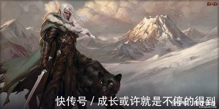 作者#五本小众却新意十足的网络小说,专治你的书荒病!