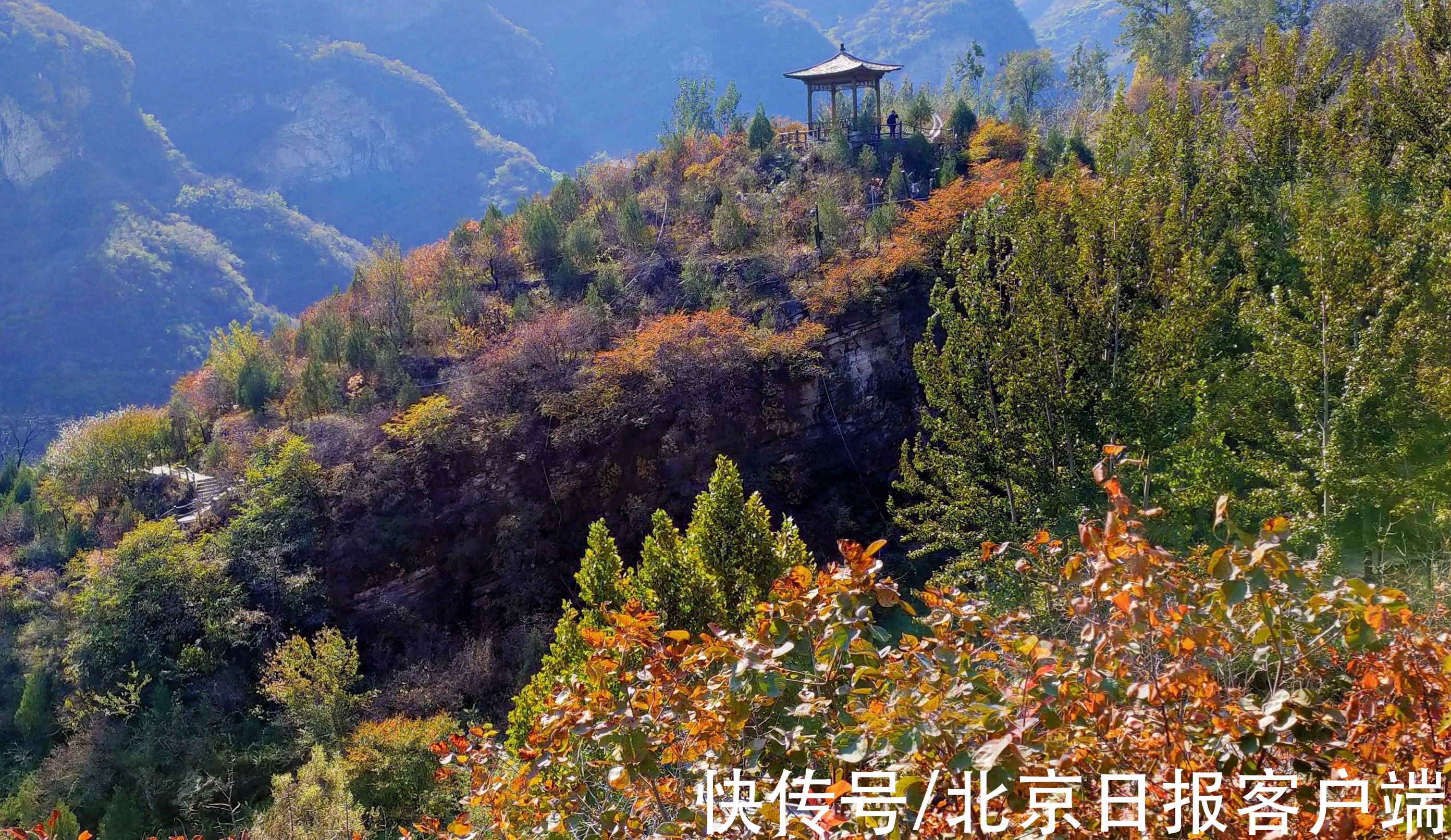 专家们|北京周口店有片华北最壮观黄栌观景区，红叶媲美香山