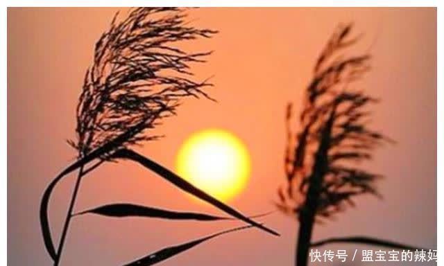 心气&“家中有三象,神鬼不敢撞”,三象指的是啥?老祖宗的智慧有道理