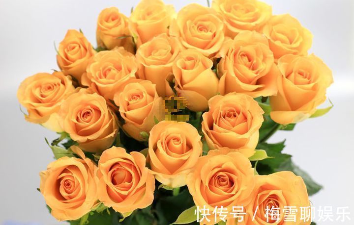 喜欢菊花,不如养盆“稀有玫瑰”假日公主,花开金灿灿,活力四射