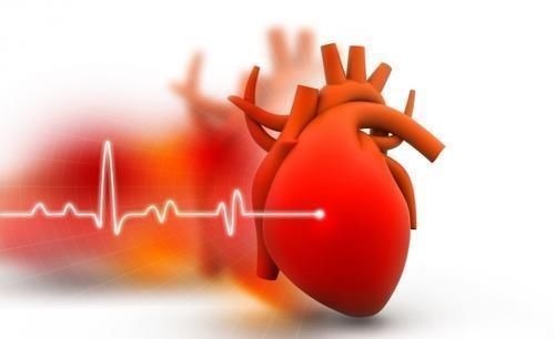 氨基酸|老人过了50岁，心率越慢越好？不瞒你说，心率在这个范围内才长寿