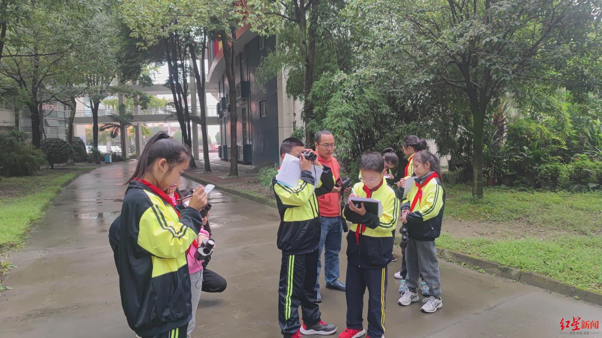 学校|11年上百次观鸟活动，这所学校有个学生科考队 学生论文作品多次获奖