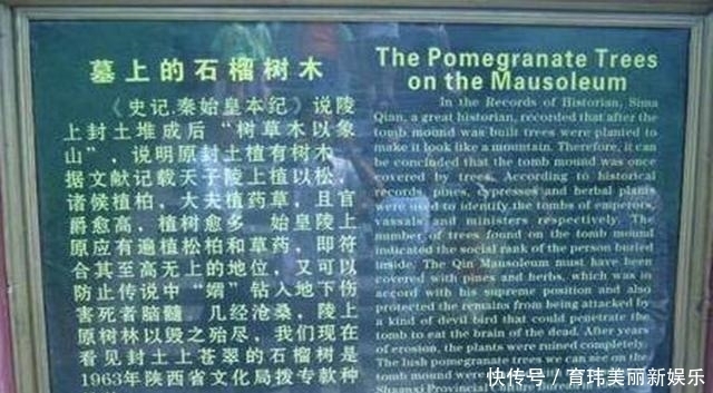 水银|秦始皇陵中真的有100吨水银吗？专家：看山上的石榴树就知道了