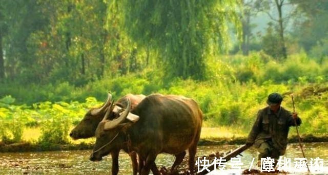 千古绝对#千古绝对!上联“穷死不耕丈人田”,下联太经典了!