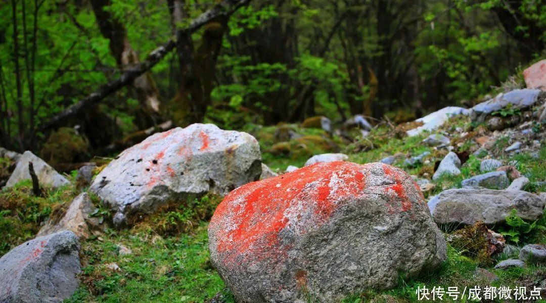 名县|「走进天府旅游名县」五月，又见凉台沟