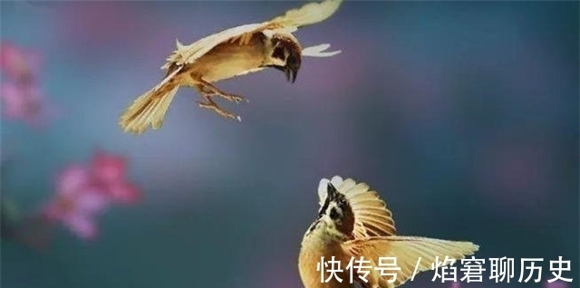 春雨$春雨相思词:柳丝长,春雨细,梦长君不知