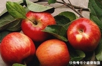 皱纹|苹果和此物一起煮,每天一碗,脂肪没了,淡化皱纹,越来越年轻