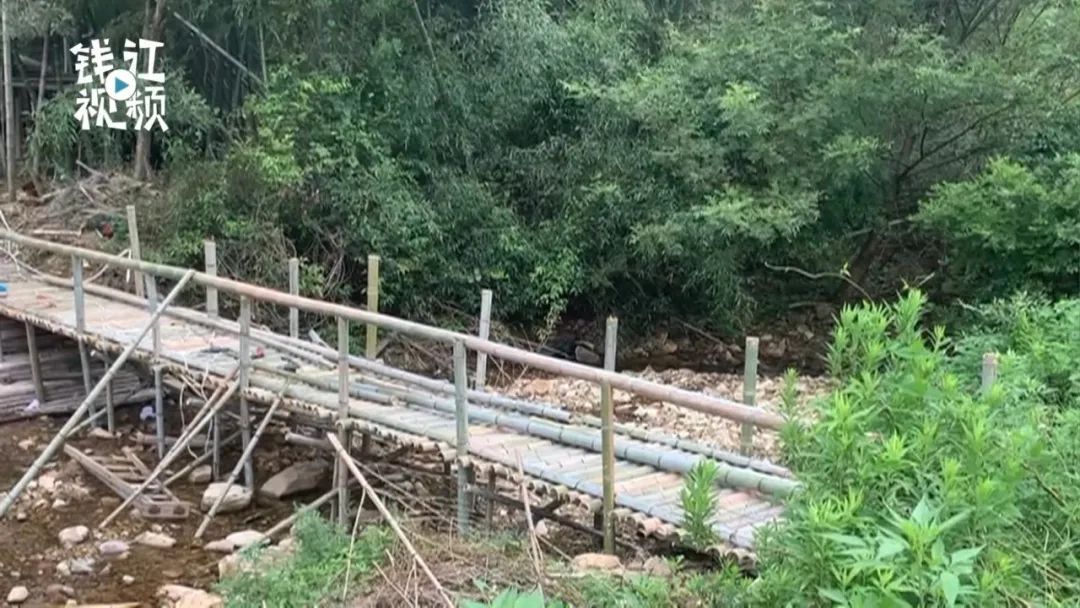 台风|自古高手在民间?！台风冲垮了村民们进山的桥，59岁的他露了一手?
