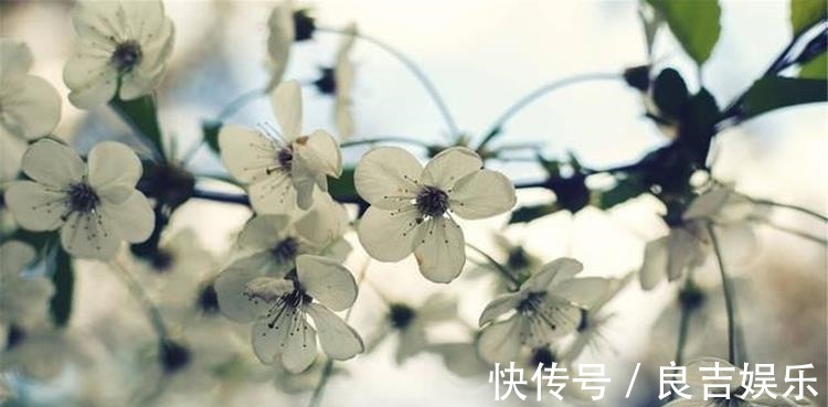 秋波媚!范成大不可不读的一首词,从开篇到结尾句句惊艳,值得我们一读!