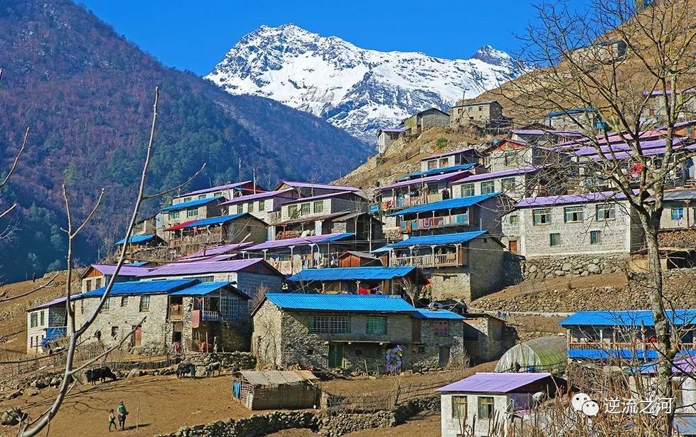  冬季到西藏，探寻山谷里的居民