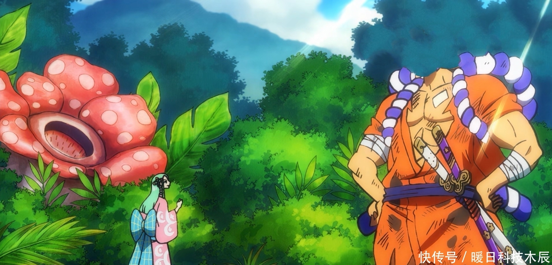 海贼王964集的三个错误决定，寿喜烧传大蛇将军代理，白胡子同意蒂奇上船