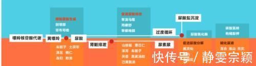 痛风性肾病|尿酸高影响肾功能吗?医生:痛风患者请做好十件事,保肾降尿酸