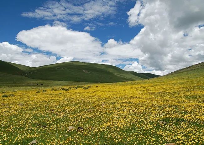 甘孜|甘孜，一网打尽川藏最精华的旅行地！