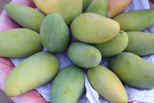 中年|漫游石家庄的户外美景地：正定景观路上的明曦湖