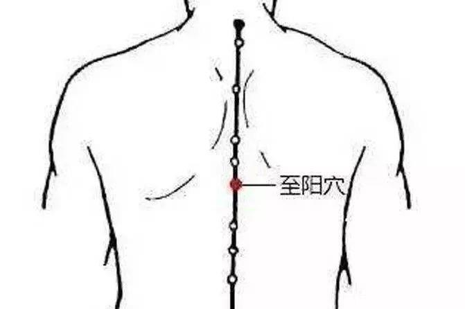 人体阳气|三九灸倒计时,今年灸的好,明年病痛少!尤其适合这种人
