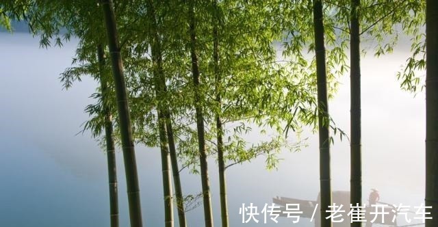 木头鸡@庄子这3句话,暗藏天道、地道、人道大玄机,读懂了时来运转!