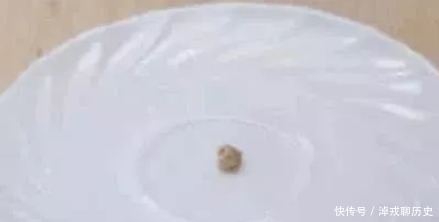 篮球鞋|吉尼斯之最：最小的饺子你见过吗？仅0.016克，塞牙缝都不够