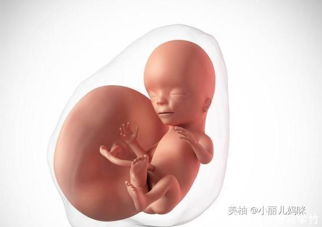 宝宝|怀孕后,若孕妈妈有3个“特殊”表现,说明孩子是个“聪明娃”