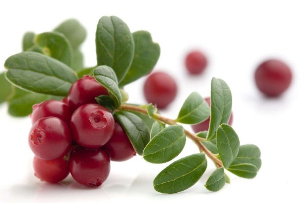 毒素|不想子宫“脏脏的”平时多吃4种食物，排出毒素，子宫光滑健康