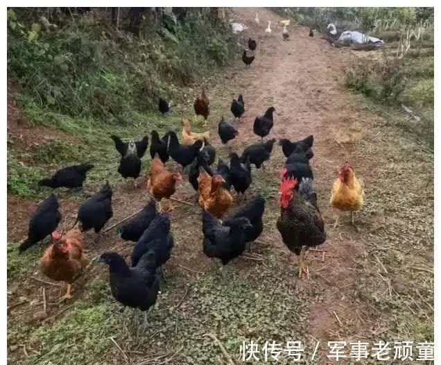 侄女|坐月子四十天不出门、不洗头、不洗澡,这些陋习需要遵守吗?