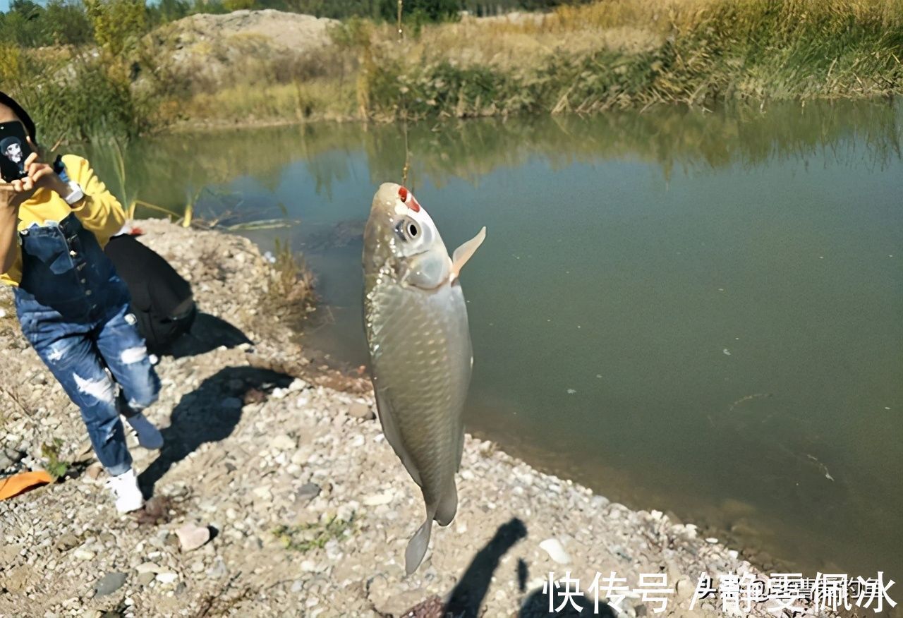 老钓友坦言，冬季钓鱼我只用这三种东西做饵料，鲫鱼一钓一个准