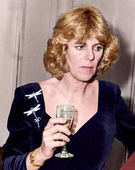 蓝宝石!戴安娜婚戒平淡无奇,卡米拉婚戒是无价之宝,查尔斯送礼太偏心了