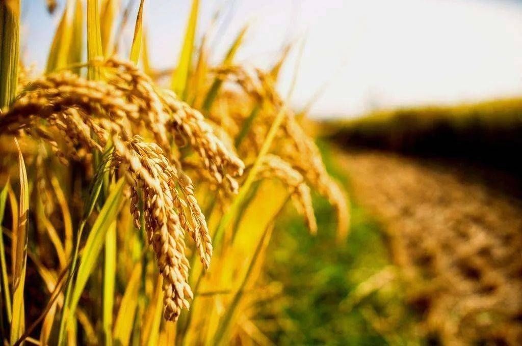  善于|真正聪明的人，都善于“低头”