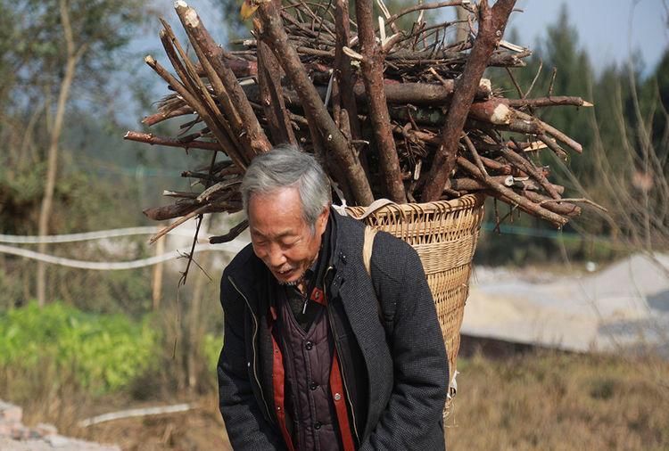 农村俗语“秃狠瞎犟麻子刁，鹰鼻鹞眼莫相交”，啥意思？在理吗？