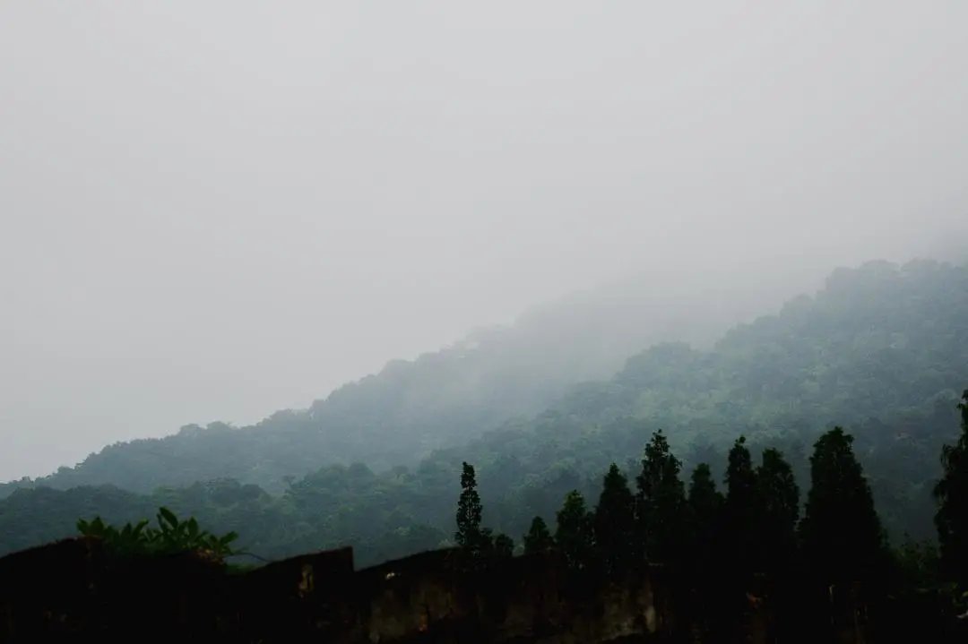 人约黄昏后#诗词丨给40首古诗加上配图,恍然大悟,惊为天人