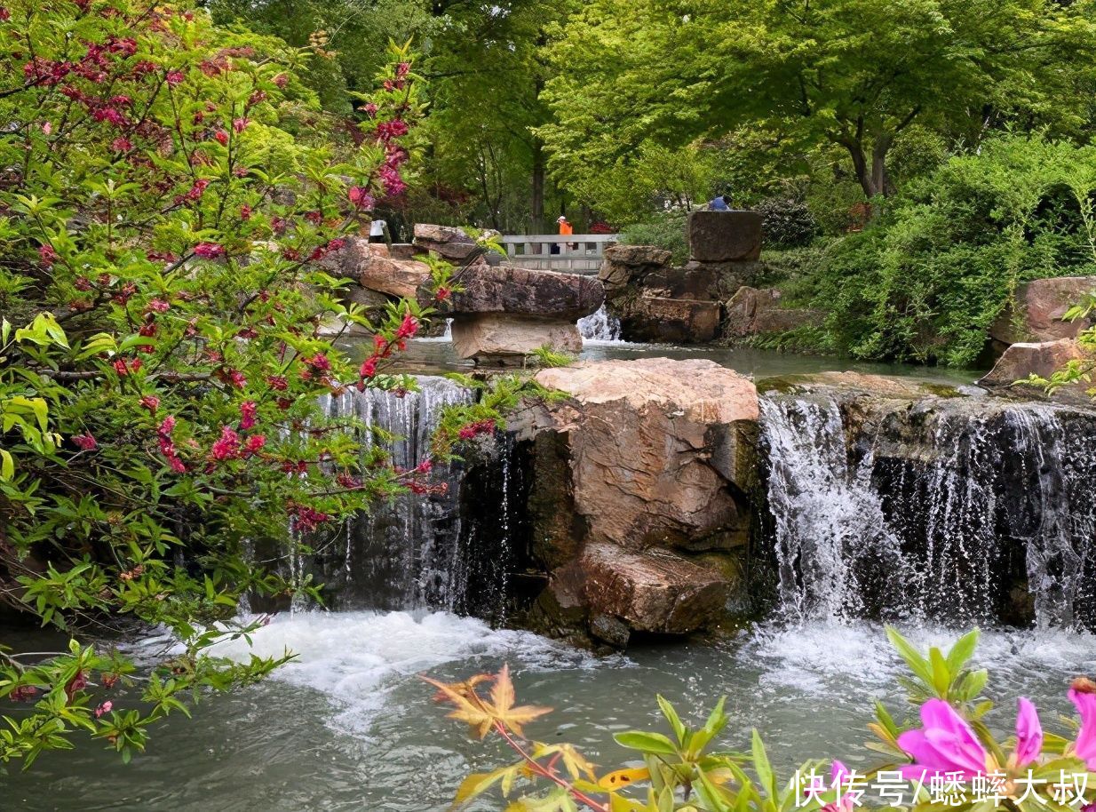 瘦西湖|犹如美妙古风画卷的江苏一景点亮了，堪比西湖，众游客争相推荐