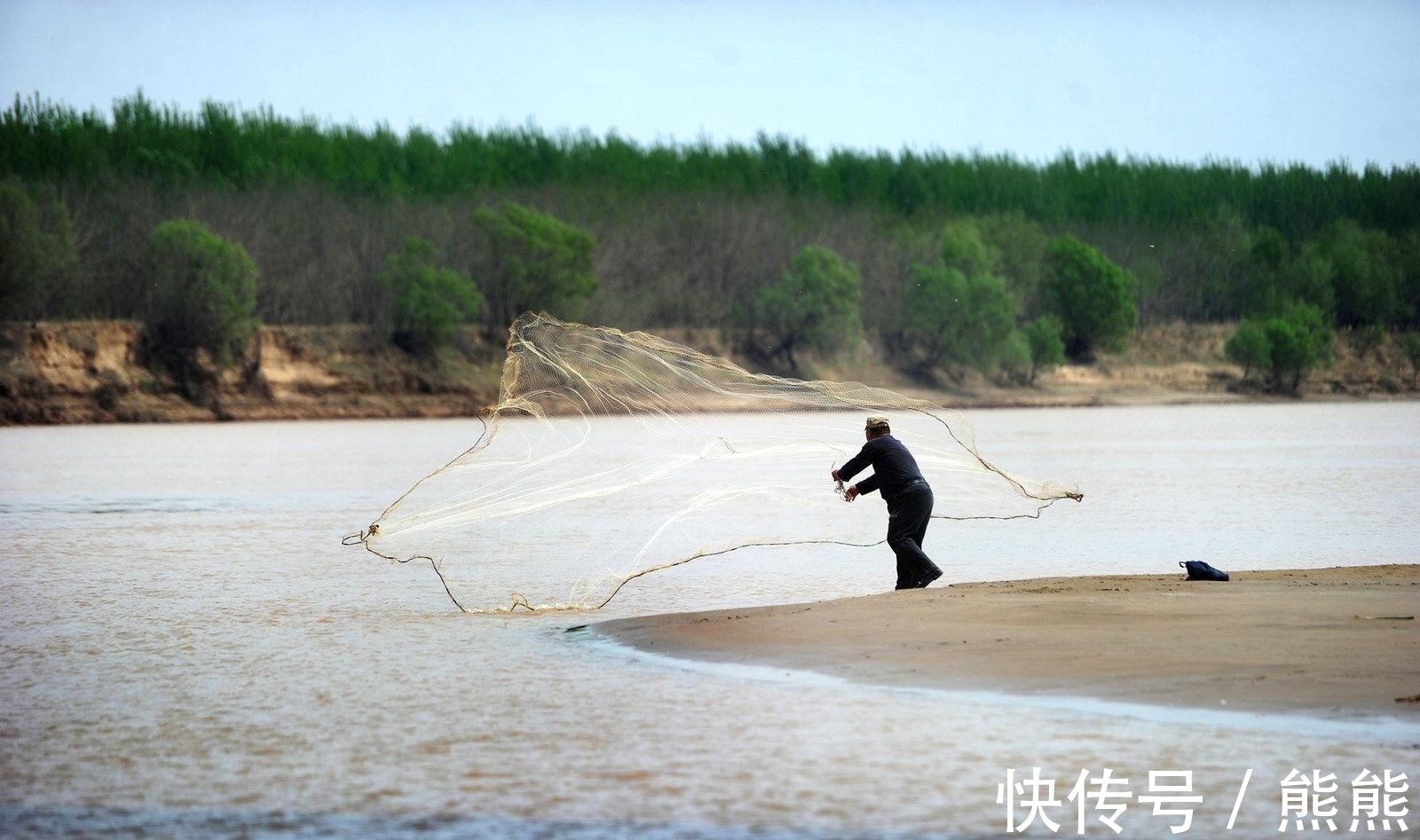 亚洲鲤鱼&鲤鱼的多样“人生”:孔子后人不吃,美国泛滥成灾,日本视其勇武
