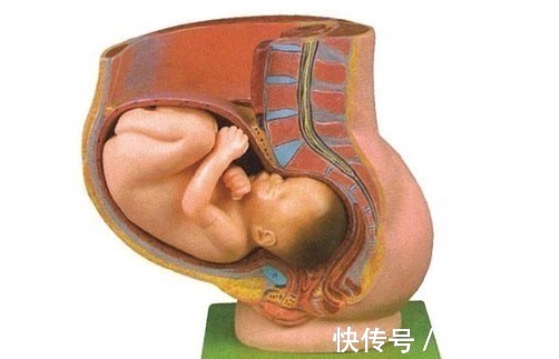 孕妈|为什么生孩子有人快有人慢产妇有5几个特征,往往产程会更短