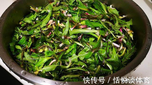 泡水|这菜浑身都是宝,可惜很多人当草,经常上火多吃点,泡水喝也特香