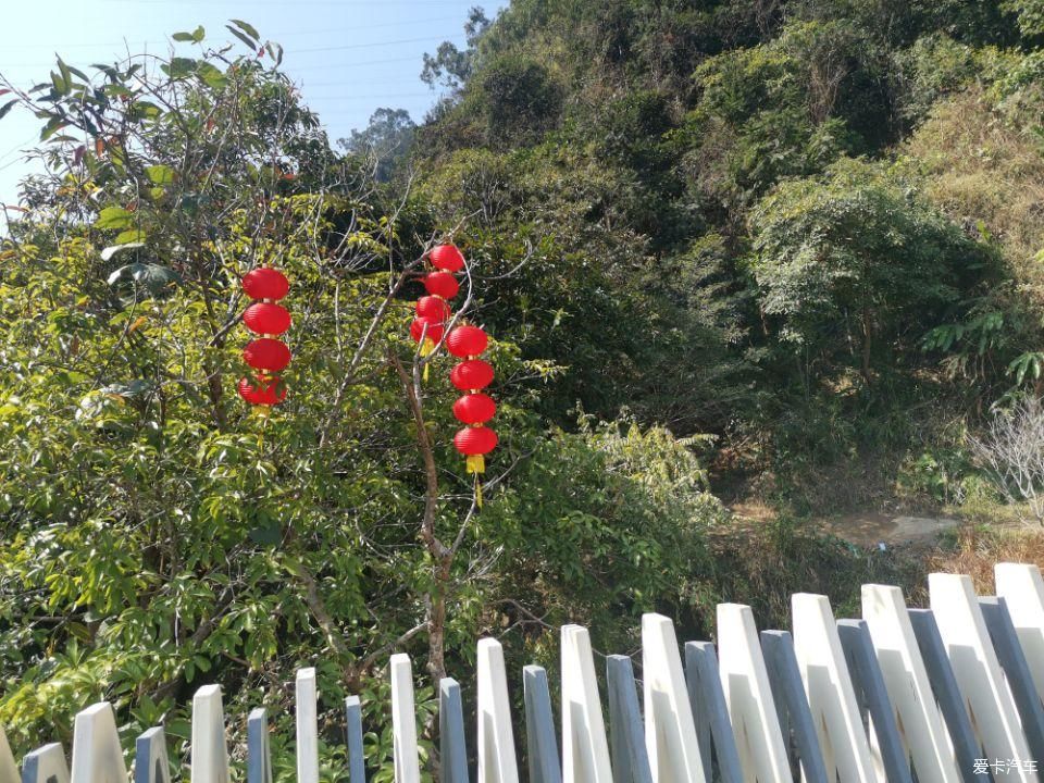 年初四爬阳台山