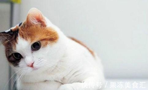 |幽默笑话:昨天跟老板秘书闹的不愉快,第二天我就被开除了