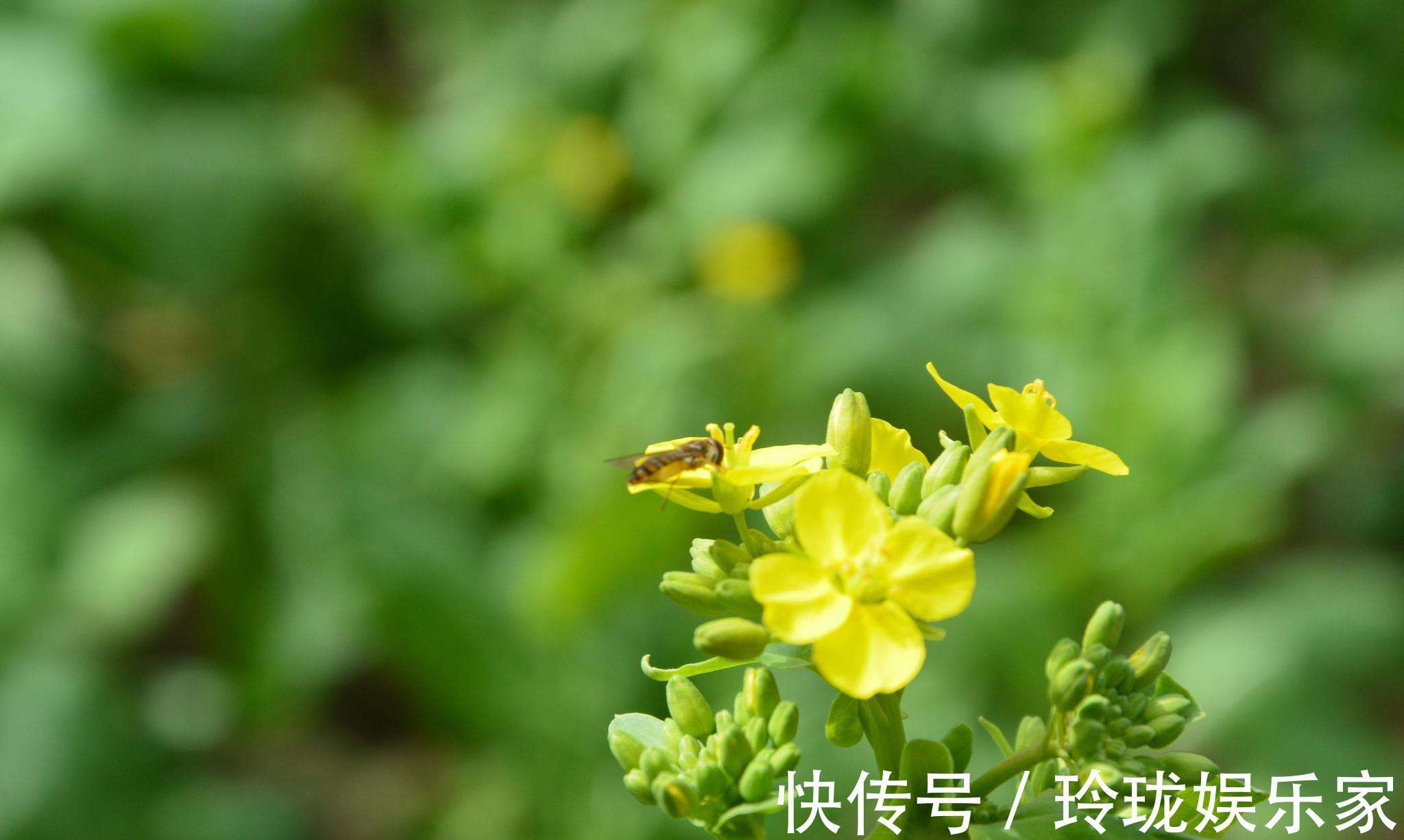 大运|躲不掉偏财的三大生肖，走大运，有你吗