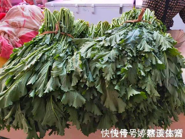腌芥菜|买菜开销大?那是你不会买,晒晒我家一周买的菜,7天不用90元