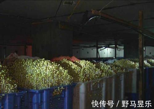 忌口|中年人养生先忌口，尽量少吃以下蔬菜和水果，身体会感谢你