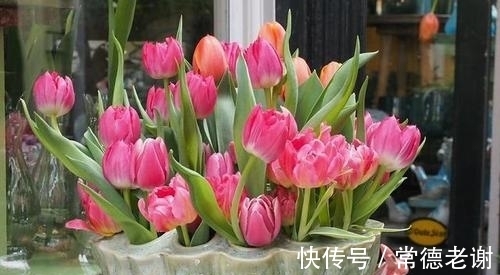 6个养花“坏习惯”,难怪花花长不好,快看看你中了几条?